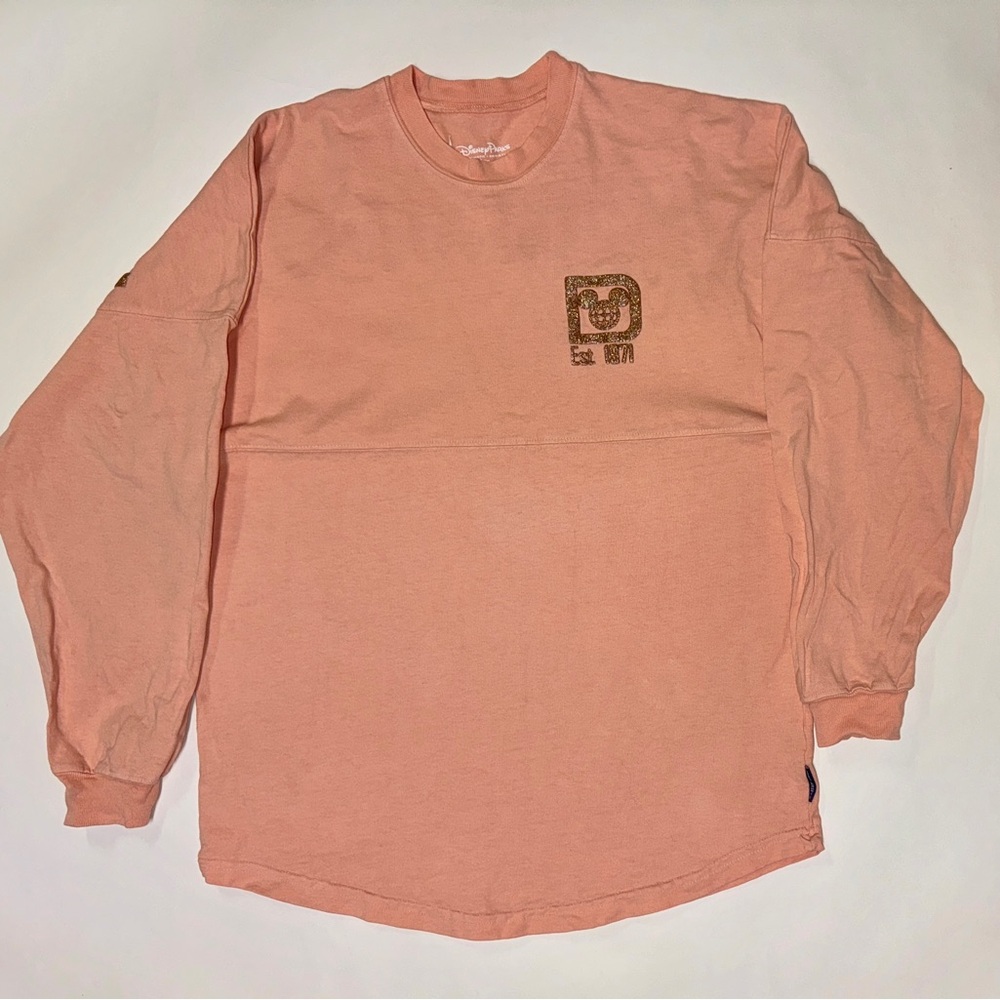 Disney Spirit Jersey
